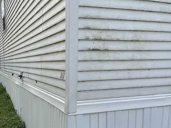  Vinyl Siding Charlotte MI