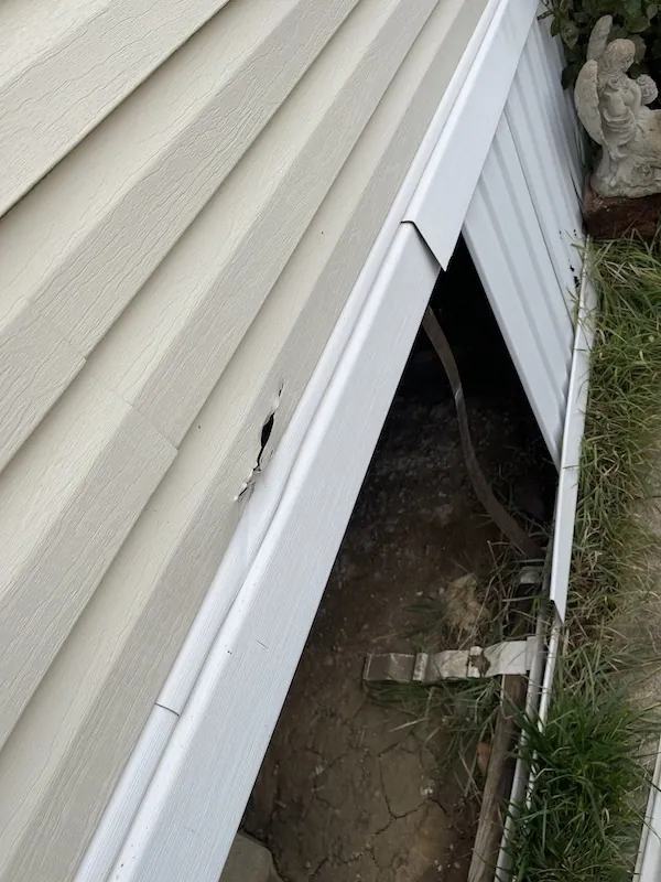  Grand Ledge MI Vinyl Siding