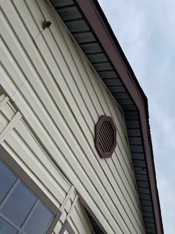 Waverly MI Vinyl Siding